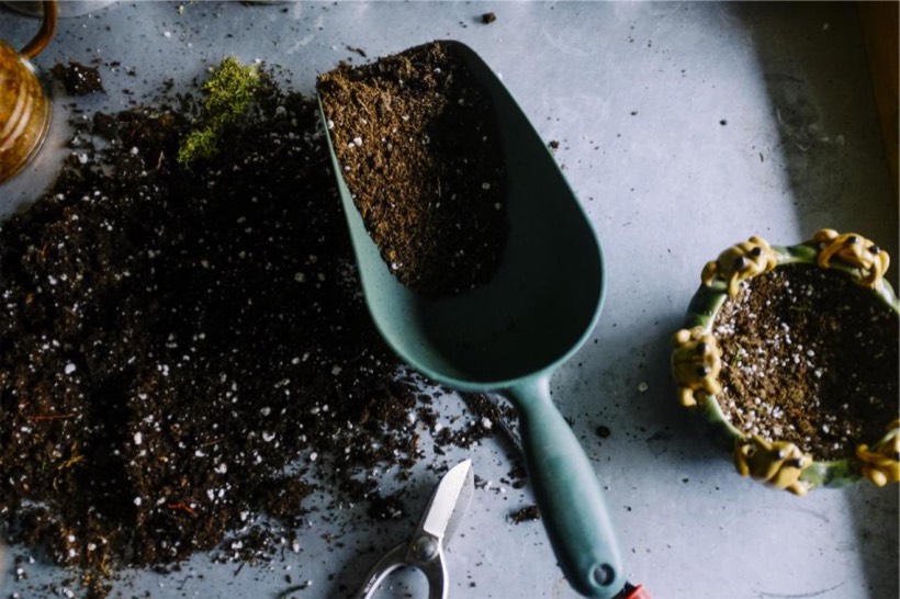 Venta de plantas y porte